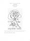     65 Roses® 'BlackRose' - Thread, Harmony (6-strand silk floss)