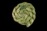 Celadon - Hand-dyed Tussah Roving/Sliver 25g