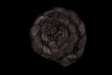 Raven Black - Hand-dyed Tussah Roving/Sliver 25g