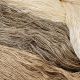 Wild Tasar 40/2x2 - 100% Organic Wild Tasar Silk Yarn