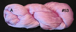 53WildOrchid