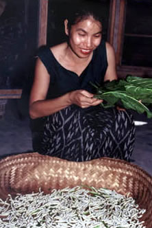 women feeding silk worms