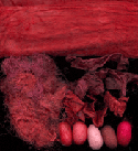 Wild Berries - dyed silk fibres
