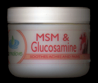 MSM & Glucosamine Cream by Dermalove