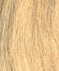 muga silk sliver/roving muga silk sliver/roving