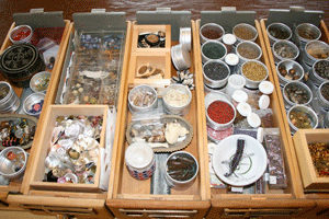 The bead and embellishment drawers
