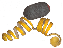 Olive and lemon zest made from silk cocoons by Sue Earle