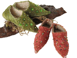 Fairy shoes made by Robin Reid