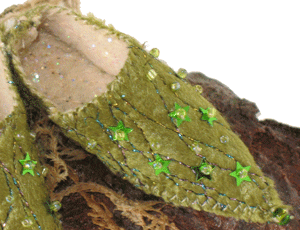 Fairy shoe by Robin Reid