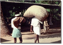 silk production