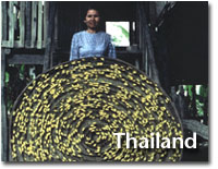 silk production in thailand