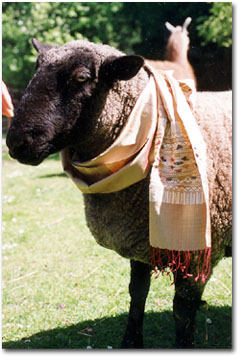 Silk/Wool Blend