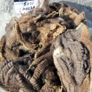 image of fleeces