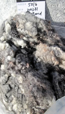 image of fleeces