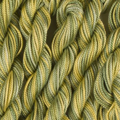      65 Roses® 'Miss Lemon Abelia' - Thread, Tranquility (fine cord thread): click to enlarge