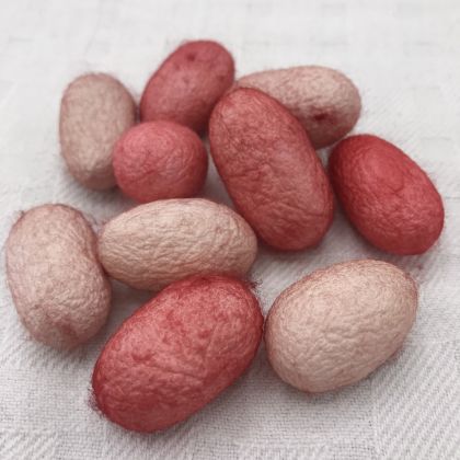 Silk Cocoons - Rose Bud: click to enlarge