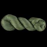Color Now! - Kiku Silk Yarn - 212 One Hundred Acre Wood