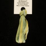 65 Roses® 'Miss Lemon Abelia' - 3.5mm Silk Ribbon