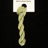 65 Roses® 'Miss Lemon Abelia' - Thread, Tranquility (fine cord thread)