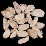 Wild Silk Cocoons - Eri (white) -   7g