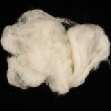 Noil Fiber (combed) -  25g