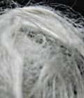 Natural Silk in Sericin (gummy) - 200g