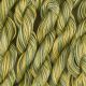      65 Roses® 'Miss Lemon Abelia' - Thread, Tranquility (fine cord thread)