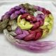 Salt Spring Island Limited Edition 'Fernwood' - Bombyx Silk from India Combed Top/Sliver 25g