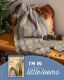 Kit - Rigid Heddle Limited Edition 65 Roses "Night on the Town" Silk Scarf Kit