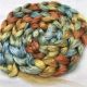 Salt Spring Island Limited Edition 'Rainbow Trout' - Bombyx Silk from India Combed Top/Sliver 25g